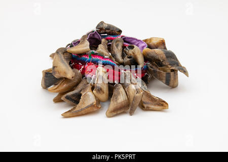 Chulus or Chajchas, Single Goat Toenail Rattle attached to a material band Stock Photo