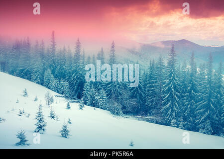 Colorful winter sunrise in the foggy mountain forest. Instagram toning. Stock Photo