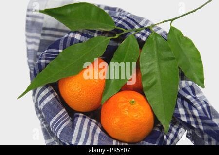 Three tangerines wrapped with a typical Valencian handkerchief accompanied by an orange branch with green leavesGroup of oranges decorated with orange Stock Photo