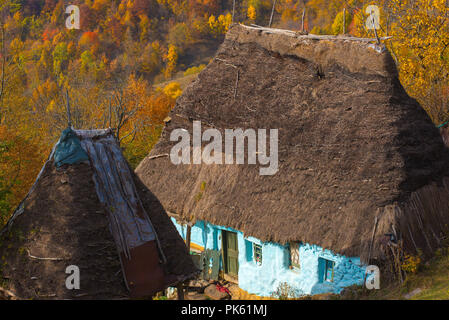 Abandoned wooden house with thatched roof in the mountains. Colorful autumn forest Stock Photo