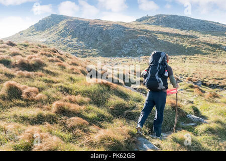 Tourist with a large backpack goes along the path to the mountains, a back view Stock Photo