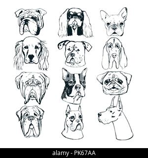 Hand drawn dog portraits on white background. Vector dog set. Sketches of purebred dogs. Vector elements for dog club logos. T-shirt prints Stock Vector