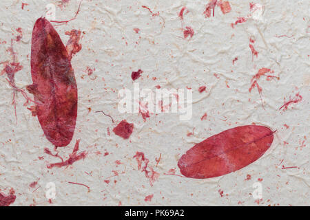 Handmade paper texture with recycled materials, tree leaves and cotton fibers. In delicate tones, reds, garnets and vanilla Stock Photo