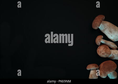 Various mushrooms on a black background Stock Photo