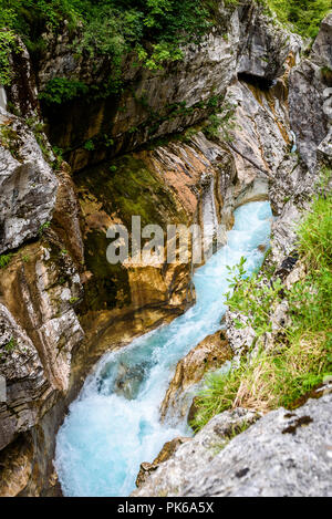 Velika Korita or Great canyon of Soca river, Bovec, Slovenia. Beautiful vivid turquoise river stream rapids, running through canyon surrounded by fore Stock Photo