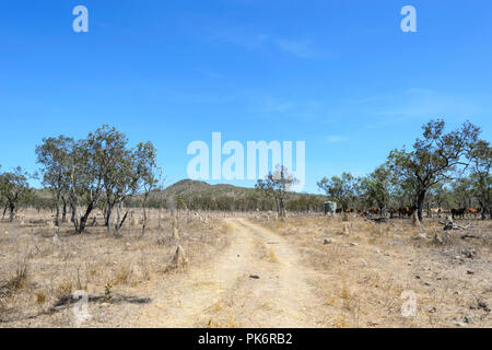Drought on a cattle farm, Northern Queensland, QLD, Australia Stock Photo