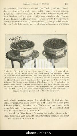 Berichte der Deutschen Botanischen Gesellschaft (Page 147) Stock Photo