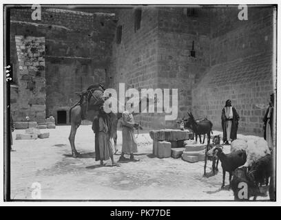 Bethlehem and surroundings. The Well at Bethlehem. Animals being watered at village well Stock Photo