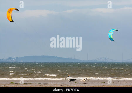 Longniddry Bents, East Lothian, Scotland, UK, 11th September 2018. UK Weather: 40mph winds on a sunny day create good conditions for colourful kite surfers in the Firth of Forth  Two dogs run along the beach with the Forth bridges in the distance Stock Photo
