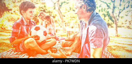 Father talking to son at picnic in park Stock Photo