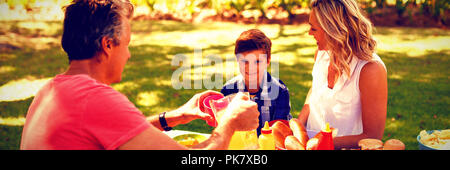 Happy family interacting with each other while having meal in park Stock Photo