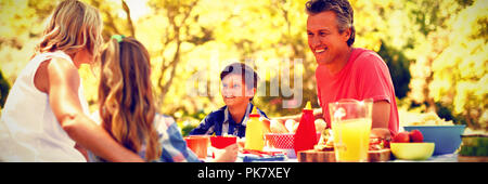 Happy family interacting with each other while having meal in park Stock Photo