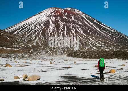Back view of the person- traveler hiking and tramping with backpack in New Zealand's mountains, walking toward huge volcano Mount Ngauruhoe Stock Photo