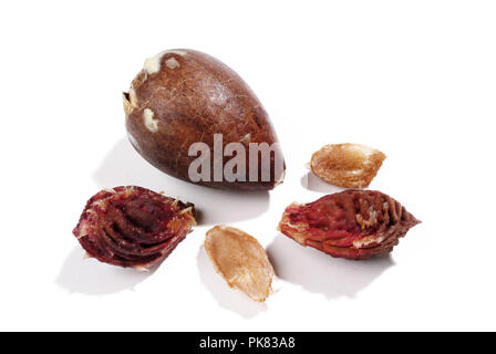Five different fruit cores on white background. Stock Photo