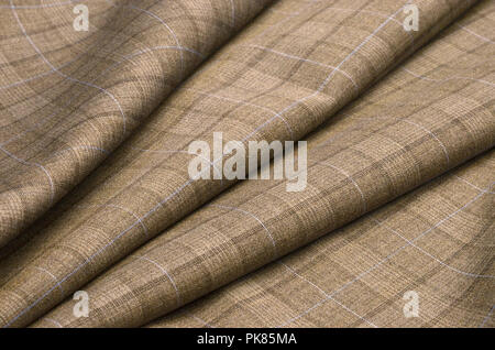 Woolen fabric, costume, brown-blue cage Stock Photo