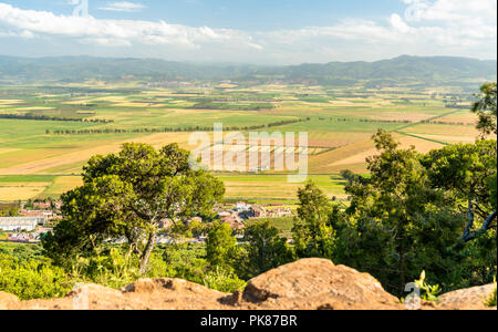 Typical landscape of North Algeria in Africa Stock Photo