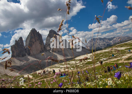 Mountains, meadow and blue sky Stock Photo
