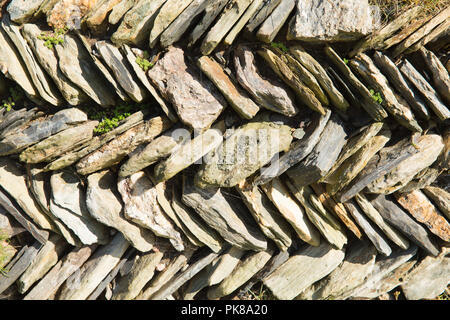 Slate wall Cornwall England UK traditional Cornish construction Stock Photo