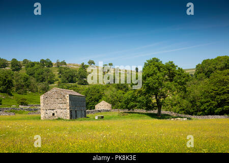 UK, Yorkshire, Wharfedale, Hubberholme, agriculture, traditional stone field barn in hay meadow Stock Photo