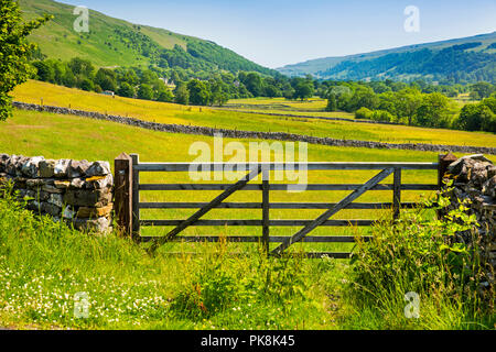 UK, Yorkshire, Wharfedale, Hubberholme, Upper Wharfedale agriculural land from Haw Ings Stock Photo