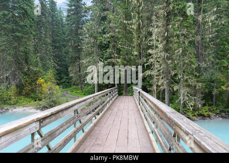 A bridge on the Berg Lake trail, Mount Robson, British Columbia Stock Photo