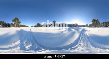 360 degree panoramic view of Winter Siberian forest, december 2005