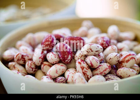 Preparing Ingredients for Cooking. Fresh Beans on Table Stock Photo