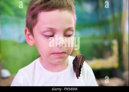 surprised cute little boy looking on shoulder with sitting butterfly Stock Photo