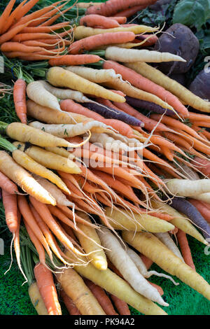 Heritage carrots for sale on a vegetable stall at Fairford farmers market, Gloucestershire, England Stock Photo