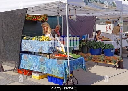 Woman shopping for vegetables at the Downtown Farmers Market, Queen Elizabeth Theatre Plaza, Vancouver, BC, Canada Stock Photo
