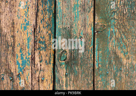 Background of old green boards, with shabby paint, with nails Stock Photo