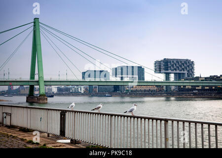 the Severins bridge across the river Rhine and the crane houses at the  Rheinau harbour, gulls, Cologne, Germany.  die Severinsbruecke  und die Kranha Stock Photo