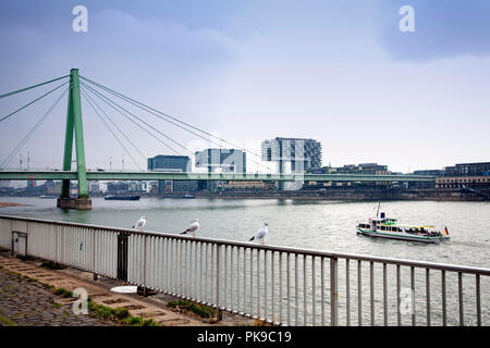 the Severins bridge across the river Rhine and the crane houses at the  Rheinau harbour, gulls, Cologne, Germany.  die Severinsbruecke  und die Kranha Stock Photo