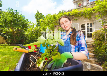 Beautiful girl planting strawberries in container Stock Photo