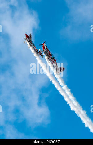 A G-Force Aerobatics Extra 300 and its 40% scale radio-controlled model Extra climb steeply during their coordinated aerobatics display Stock Photo