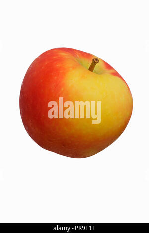 Kanzi apple (Malus domestica Nicoter). Hybrid between Gala apple and Braeburn apple. Stock Photo