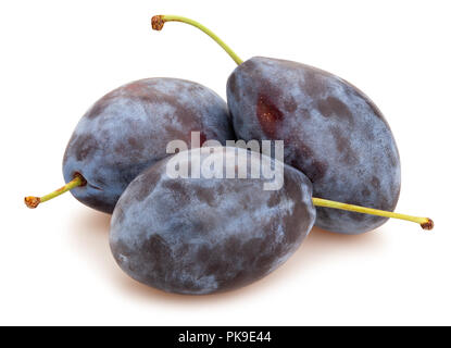 blue plum path isolated Stock Photo