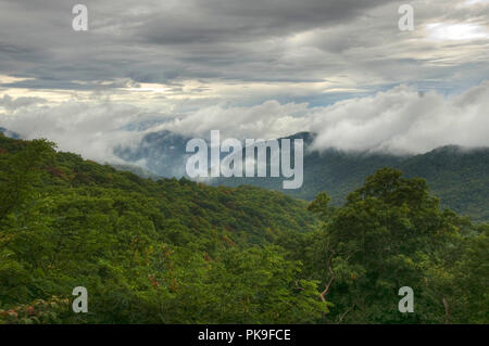 At 6,643 feet, Clingmans Dome is Great Smoky Mountains National Park's highest point. It is the highest point in Tennessee, and the second highest poi Stock Photo