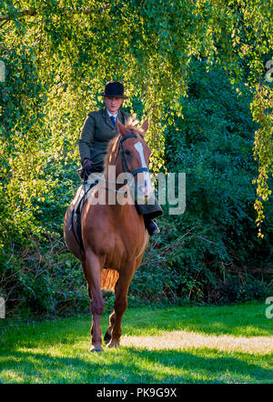 An elegent young lady riding in a traditional side saddle wearing bowler hat and face veil Stock Photo