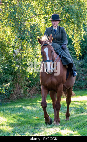 An elegent young lady riding in a traditional side saddle wearing bowler hat and face veil Stock Photo