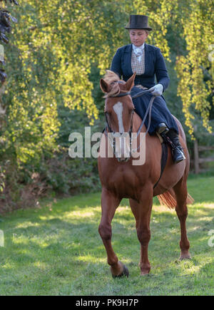 An elegent young lady riding in a traditional side saddle wearing top hat and face veil Stock Photo