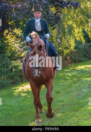 An elegent young lady riding in a traditional side saddle wearing top hat and face veil Stock Photo