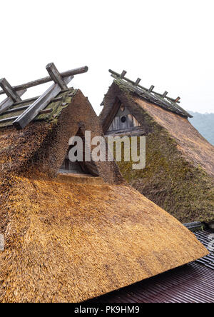 Thatched roofed houses in a traditional village, Kyoto Prefecture, Miyama, Japan Stock Photo