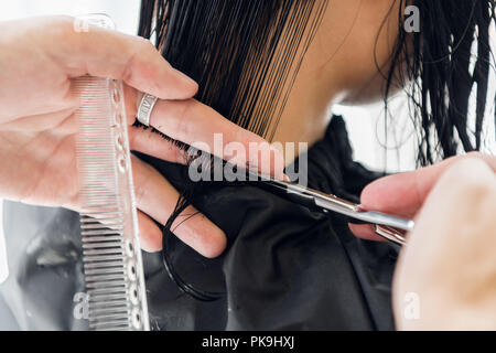 Man's hands cut and comb female dark brown hair in a beauty salon with mirrors Stock Photo