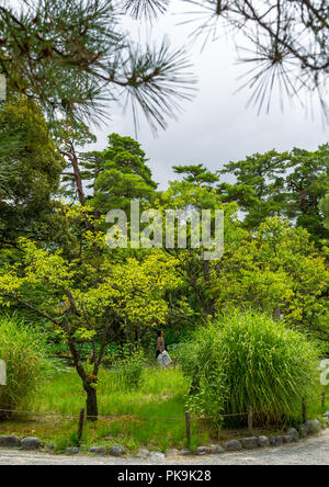 Plum grove in Kenroku-en garden, Ishikawa Prefecture, Kanazawa, Japan Stock Photo