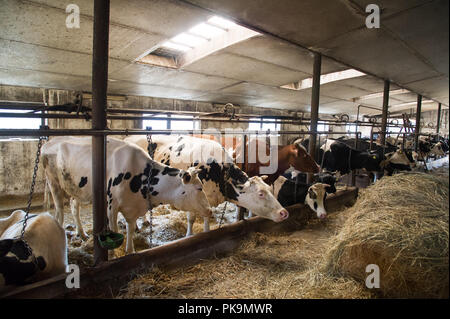 Barn in Poland. September 7th 2018 © Wojciech Strozyk / Alamy Stock Photo Stock Photo