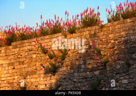 Old fortress and city walls, Istanbul, Turkey Stock Photo