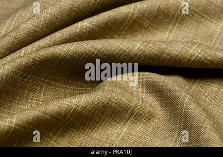 Fabric wool suit, cage beige green Stock Photo