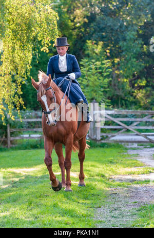 An elegent young lady riding in a traditional side saddle wearing top hat and face veil Stock Photo