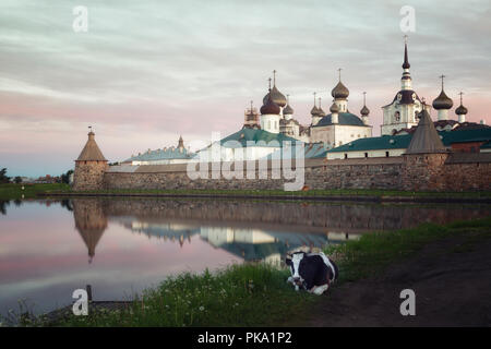 Solovetsky monastery at sunrise, in the foreground on the grass is a cow Stock Photo